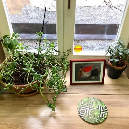 Old Town Center 2+2 *