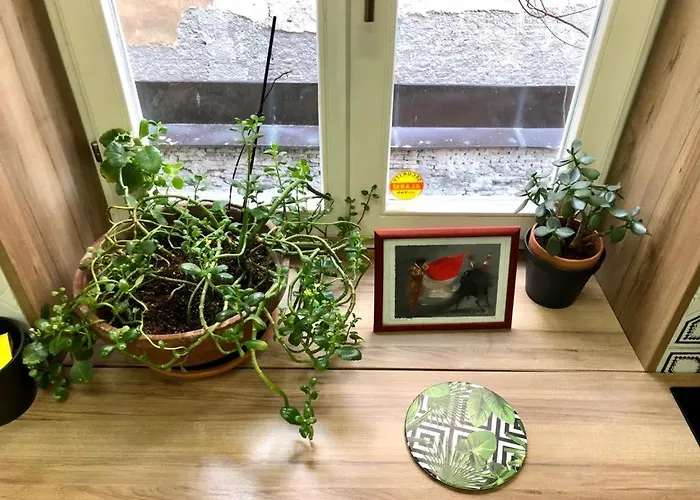 Old Town Center 2+2 *